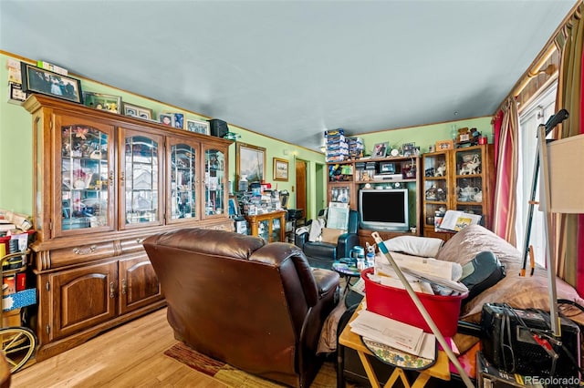 living room with light hardwood / wood-style floors