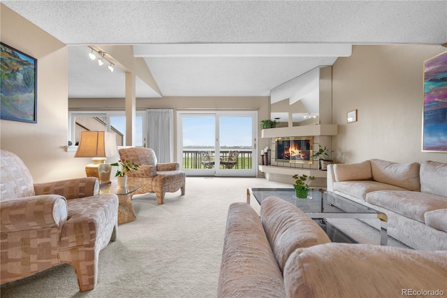 7160 W Stetson Pl Unit 27, Littleton, CO 80123 - carpeted living room featuring a glass covered fireplace