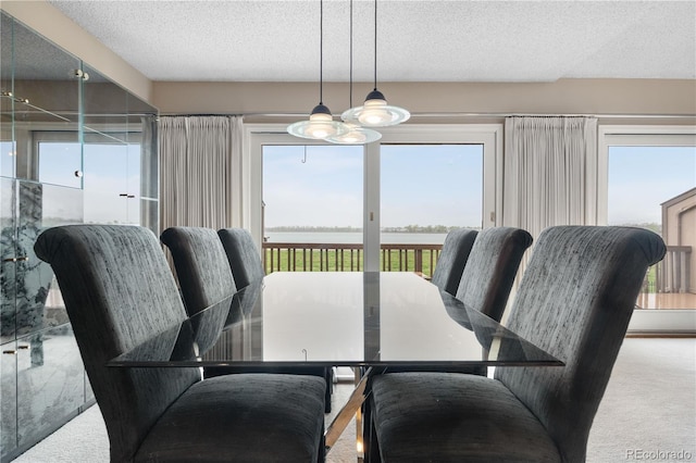 7160 W Stetson Pl Unit 27, Littleton, CO 80123 - dining space with healthy amount of natural light, a textured ceiling, and carpet flooring