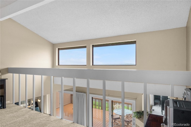 7160 W Stetson Pl Unit 27, Littleton, CO 80123 - detailed view of carpet floors and a textured ceiling