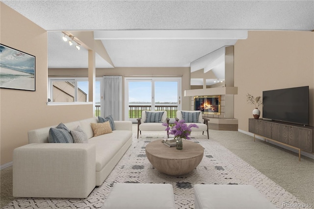 7160 W Stetson Pl Unit 27, Littleton, CO 80123 - living area featuring carpet flooring, baseboards, a fireplace, and a textured ceiling