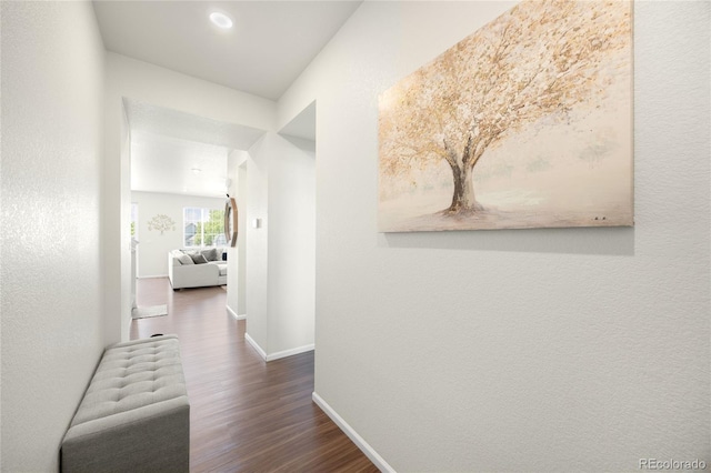 985 Penstemon Dr, Henderson, CO 80640 - photo 3