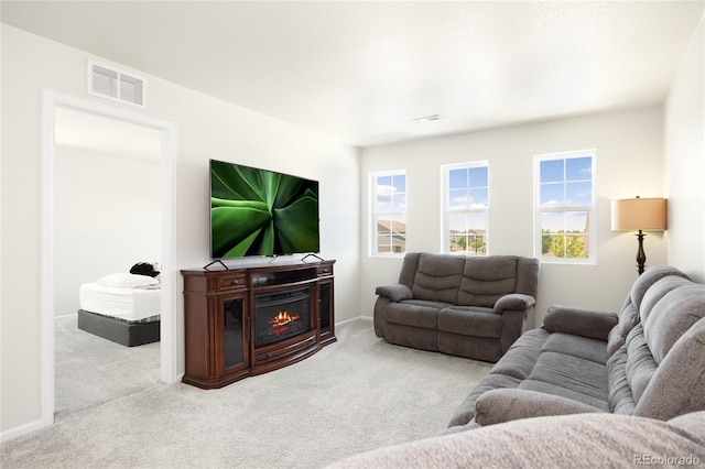 985 Penstemon Dr, Henderson, CO 80640 - photo 19