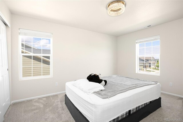 985 Penstemon Dr, Henderson, CO 80640 - photo 20