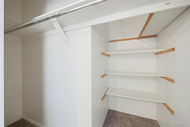 spacious closet with carpet