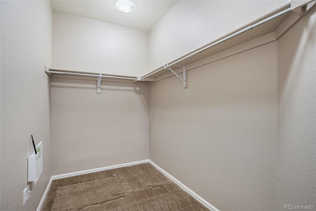 spacious closet featuring carpet flooring