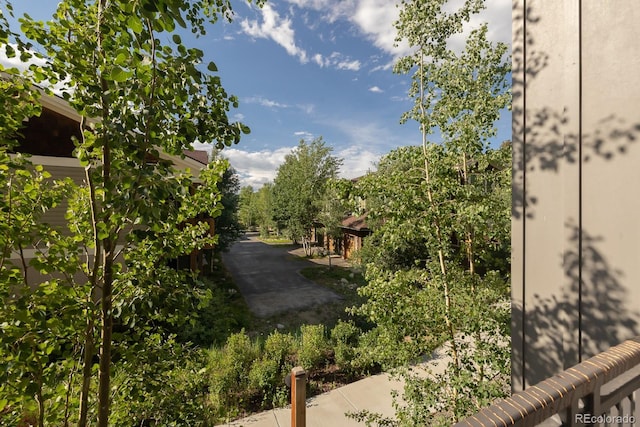 400 Baker Dr Unit Te103, Winter Park, CO 80482 - view of yard