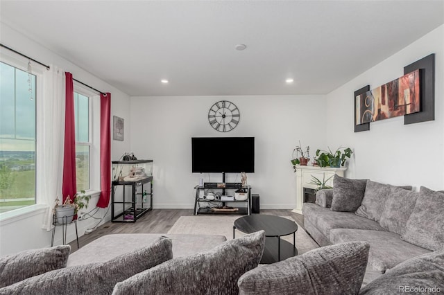 17471 Gandy Dancer Ln, Parker, CO 80134 - living area featuring wood finished floors and recessed lighting