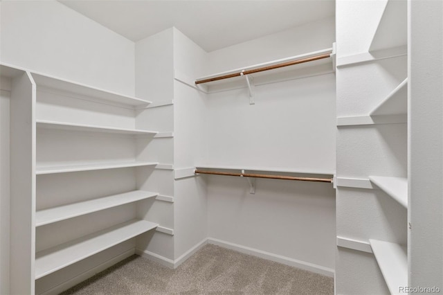 2854 Tenderfoot Hill St, Colorado Springs, CO 80906 - spacious closet with carpet