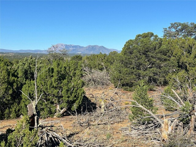 Listing photo 3 for LOT12 City Rnch, Property, Walsenburg CO 81089