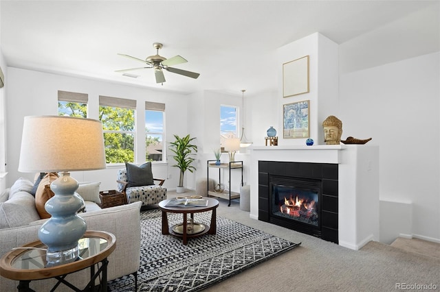 9599 Cedarhurst Ln Unit A, Highlands Ranch, CO 80129 - photo 5