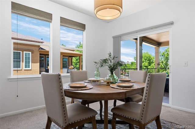 9599 Cedarhurst Ln Unit A, Highlands Ranch, CO 80129 - photo 14