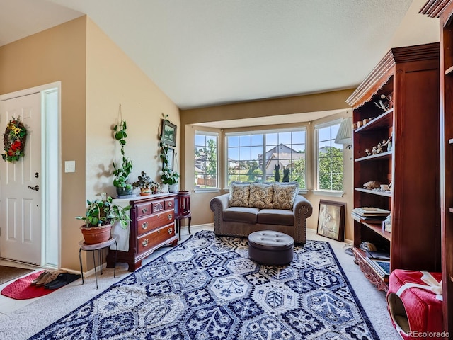 3859 Rawhide Cir, Castle Rock, CO 80104 - photo 12