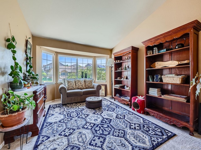 3859 Rawhide Cir, Castle Rock, CO 80104 - photo 11