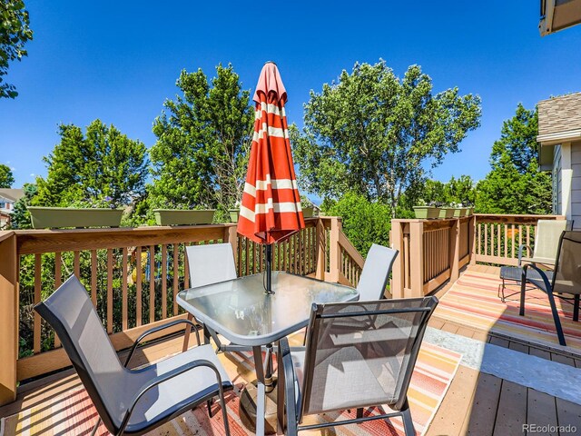 3859 Rawhide Cir, Castle Rock, CO 80104 - photo 26