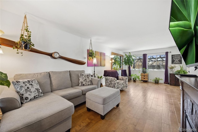 living area with wood-type flooring