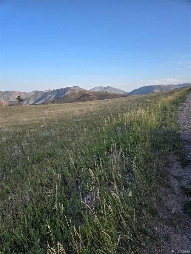 443 Meadow Mountain Dr, Livermore, CO 80536 - photo 3