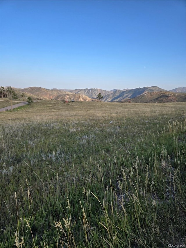 443 Meadow Mountain Dr, Livermore, CO 80536 - photo 4