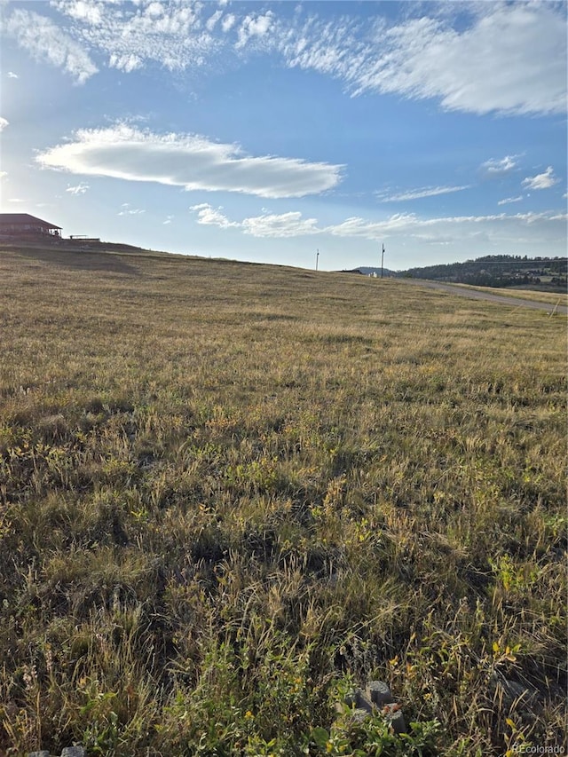 443 Meadow Mountain Dr, Livermore, CO 80536 - photo 5