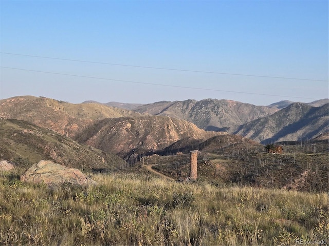 443 Meadow Mountain Dr, Livermore, CO 80536 - photo 6