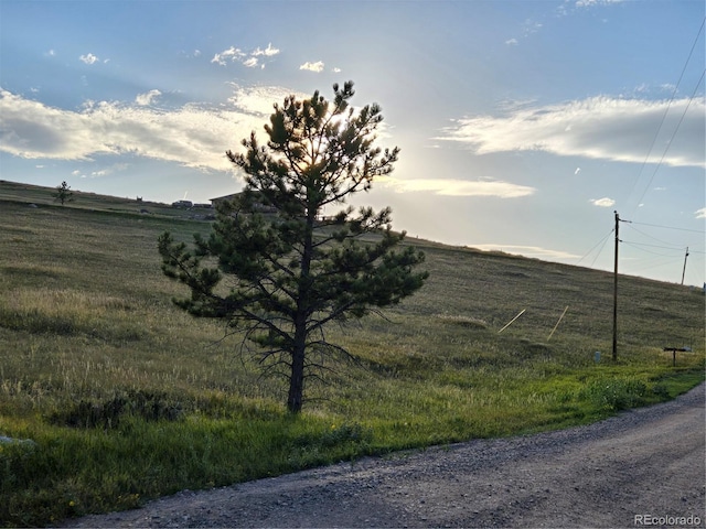443 Meadow Mountain Dr, Livermore, CO 80536 - photo 7