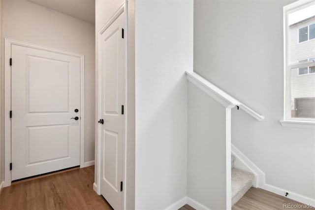 stairway featuring wood-type flooring