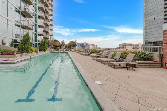 view of pool featuring a patio