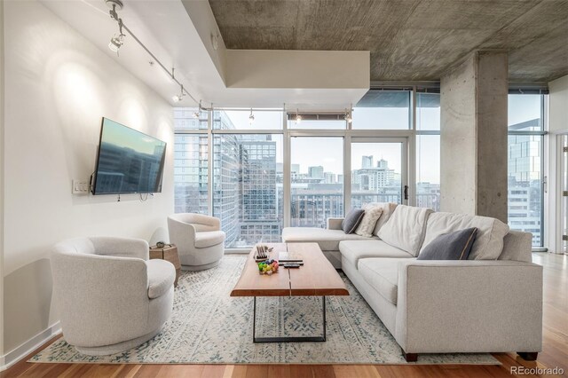 living room featuring a wall of windows, wood-type flooring, and rail lighting