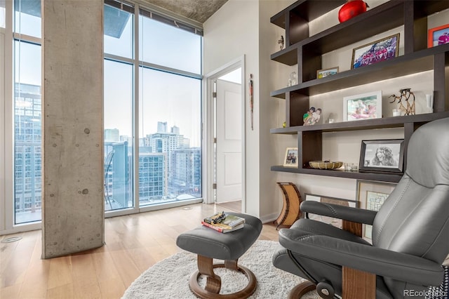 living area featuring floor to ceiling windows, a wealth of natural light, and light wood-type flooring