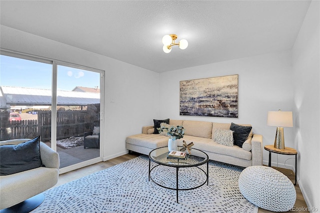 living room with hardwood / wood-style floors and a textured ceiling