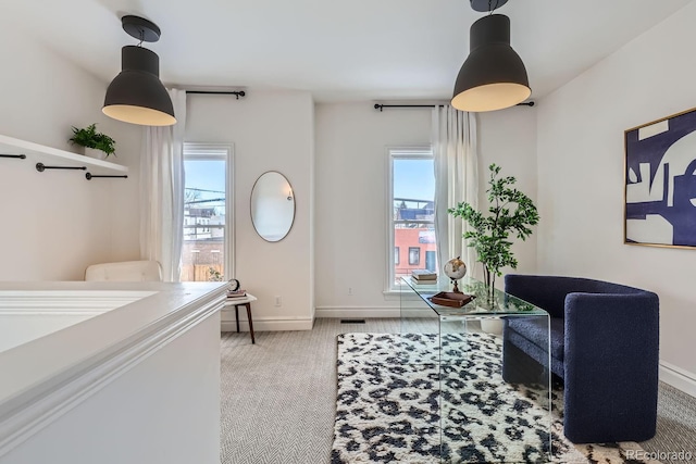 interior space featuring light carpet and a wealth of natural light