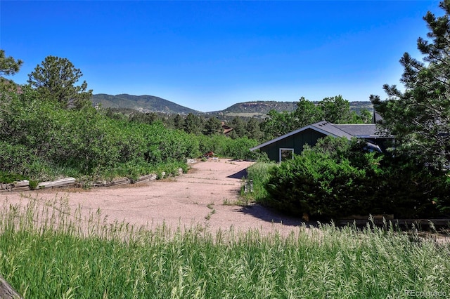 4380 Sandstone Dr, Monument, CO 80132 - photo 4