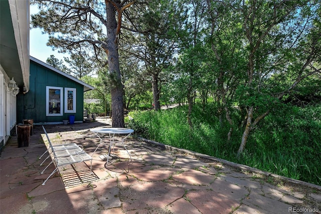 4380 Sandstone Dr, Monument, CO 80132 - photo 9