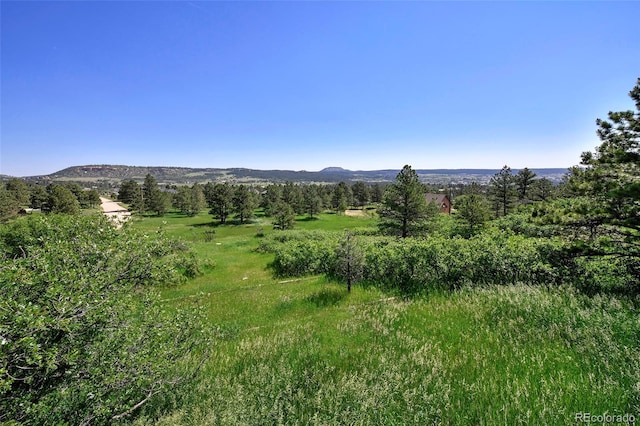4380 Sandstone Dr, Monument, CO 80132 - photo 44
