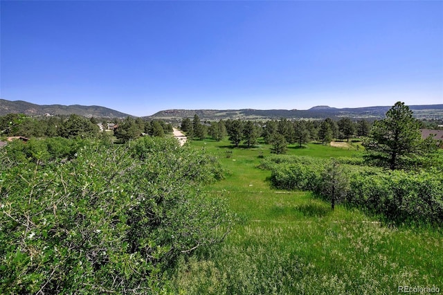 4380 Sandstone Dr, Monument, CO 80132 - photo 45