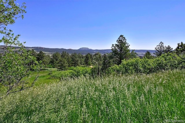 4380 Sandstone Dr, Monument, CO 80132 - photo 49