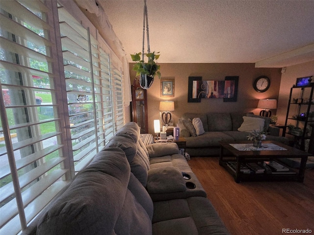 604 S Xenon Ct, Lakewood, CO 80228 - living area featuring wood finished floors and a textured ceiling
