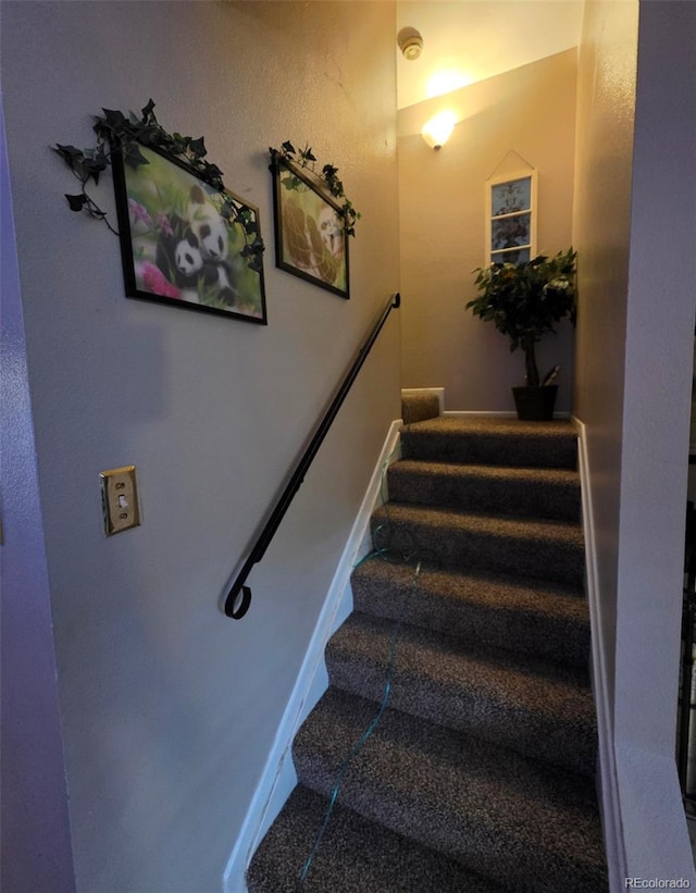 604 S Xenon Ct, Lakewood, CO 80228 - view of stairway