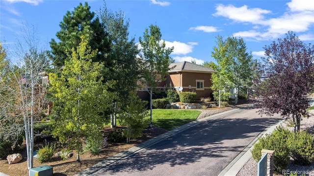 12477 Creekhurst Dr, Colorado Springs, CO 80921 - view of street featuring curbs