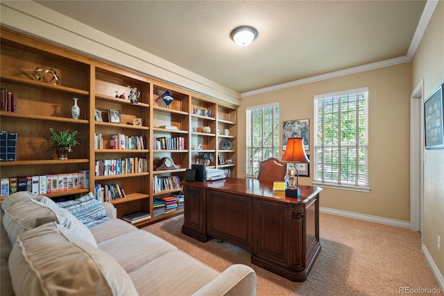 12477 Creekhurst Dr, Colorado Springs, CO 80921 - office area featuring light colored carpet, crown molding, and baseboards