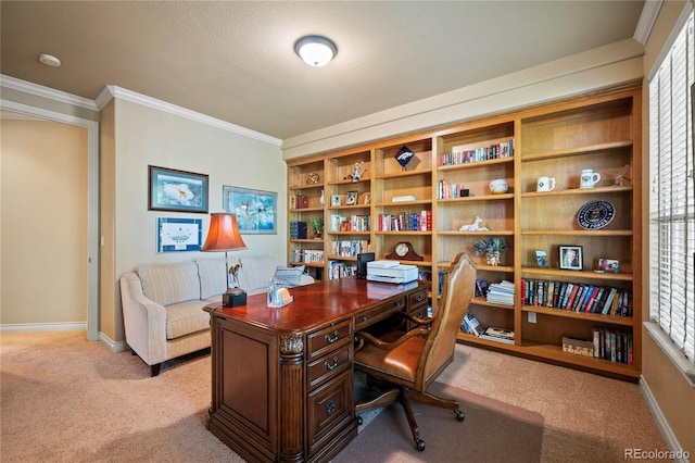 12477 Creekhurst Dr, Colorado Springs, CO 80921 - carpeted home office with ornamental molding and baseboards