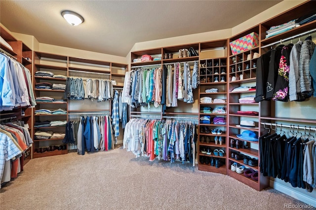 12477 Creekhurst Dr, Colorado Springs, CO 80921 - spacious closet featuring carpet floors