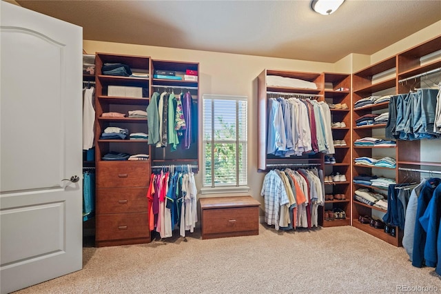 12477 Creekhurst Dr, Colorado Springs, CO 80921 - walk in closet featuring carpet flooring