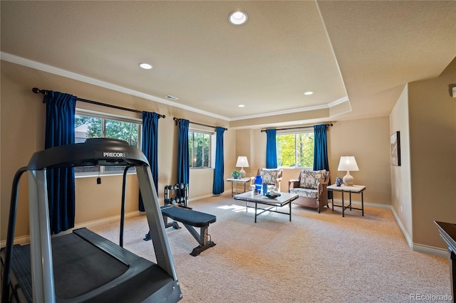 12477 Creekhurst Dr, Colorado Springs, CO 80921 - exercise room with carpet floors, baseboards, crown molding, and recessed lighting