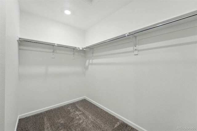 17115 W 91st Ln, Arvada, CO 80007 - spacious closet featuring dark carpet