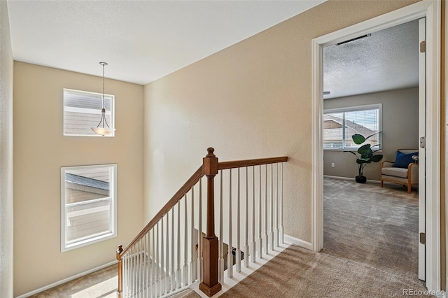 12623 Canoe St, Firestone, CO 80504 - stairs featuring carpet flooring and baseboards