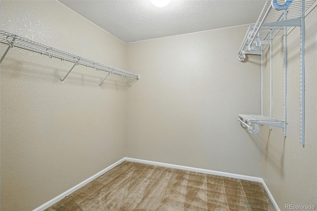 12623 Canoe St, Firestone, CO 80504 - spacious closet with carpet