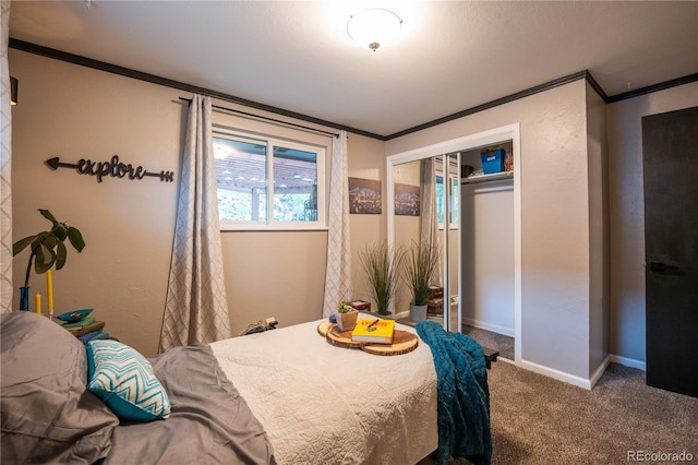 3125 Xenon St, Wheat Ridge, CO 80215 - carpeted bedroom with crown molding, multiple windows, a closet, and baseboards