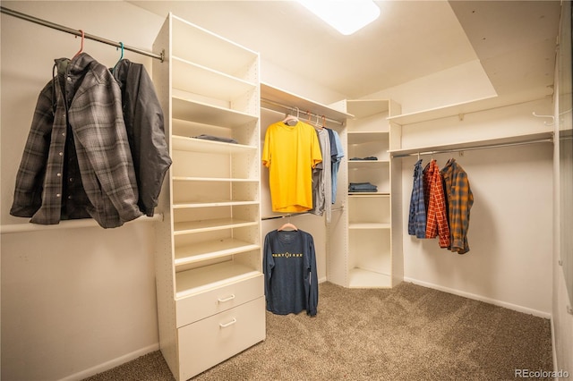 3125 Xenon St, Wheat Ridge, CO 80215 - spacious closet with carpet flooring