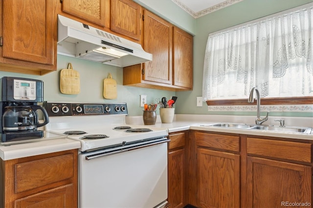 98 N Quicksilver Ave, Castle Rock, CO 80104 - photo 10
